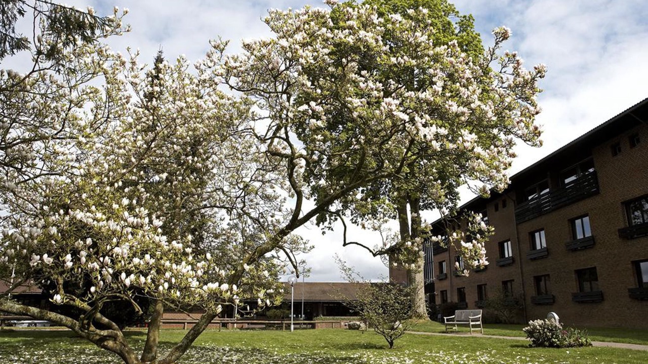 Photo of Patio Balcony in Ravnsbaek