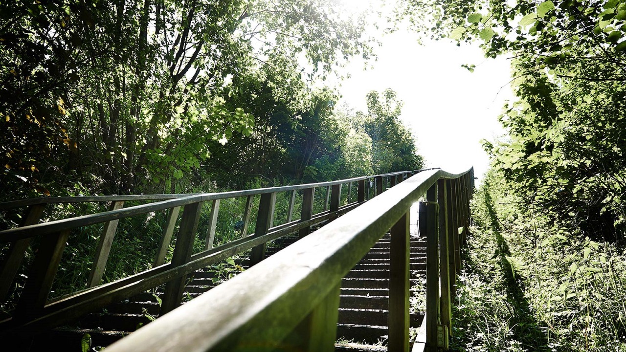 Photo of Outdoor in Ravnsbaek