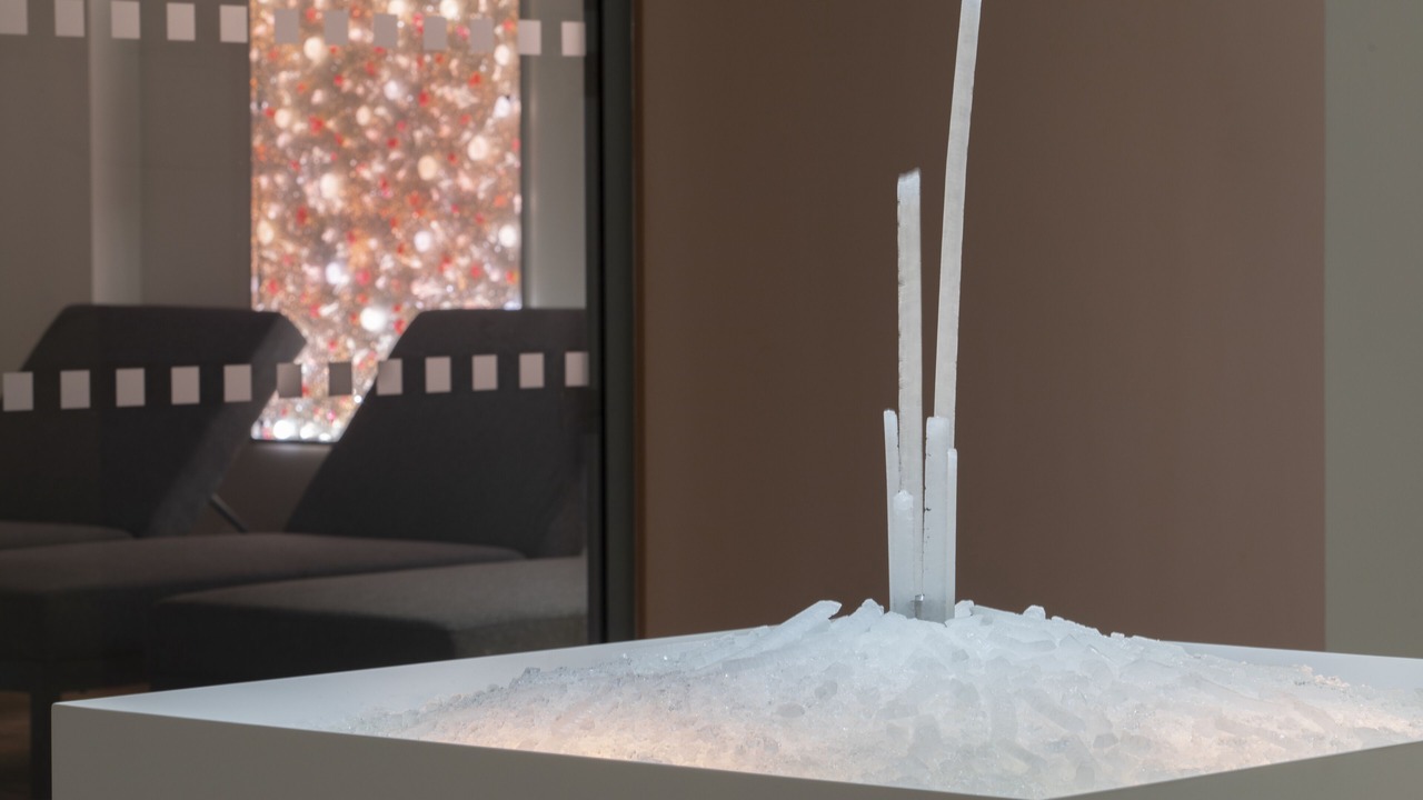 Photo of Bedroom in Serin