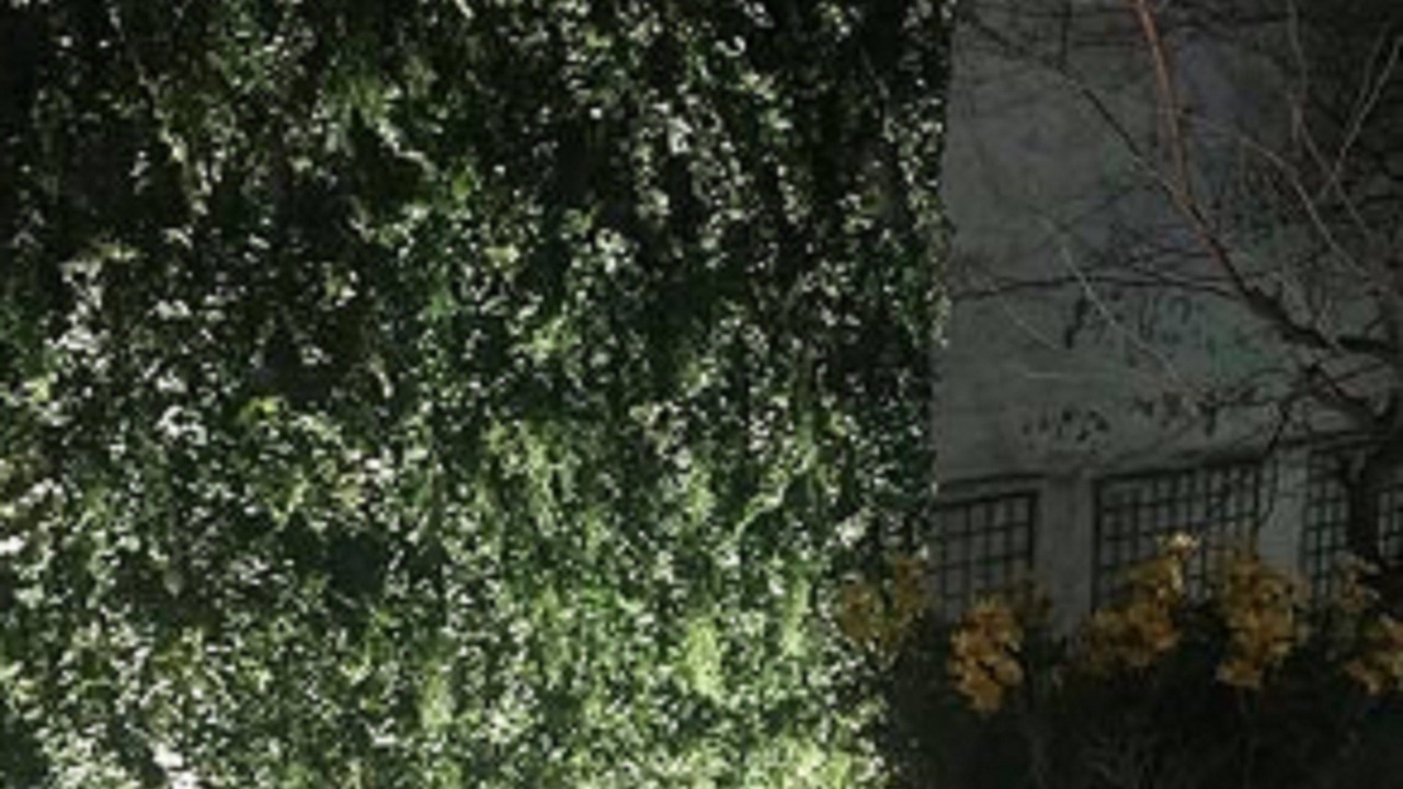 Photo of Outdoor in Quartier des Grandes-Carrieres