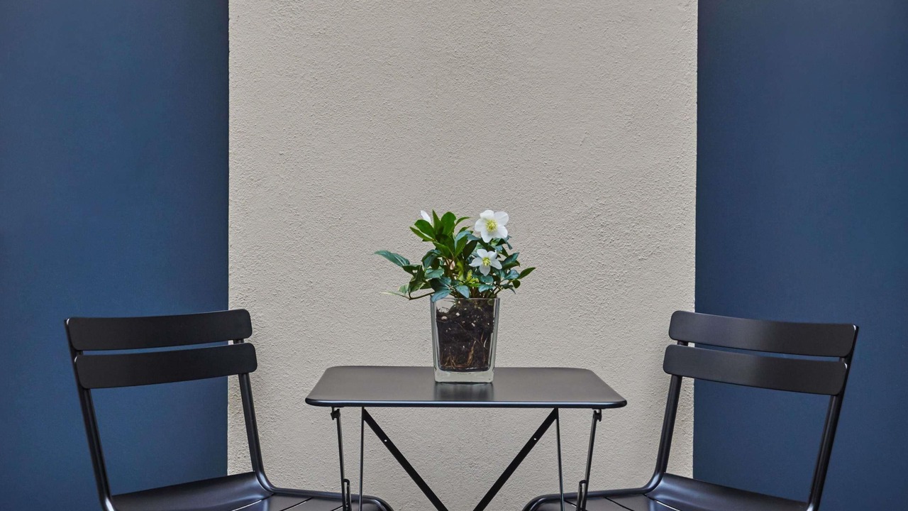 Photo of Others in Notre-Dame