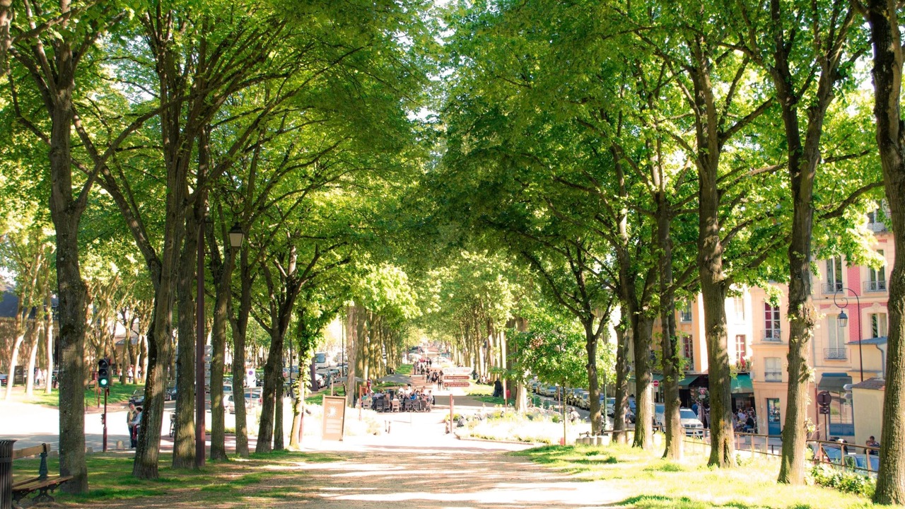 Photo of Others in Notre-Dame