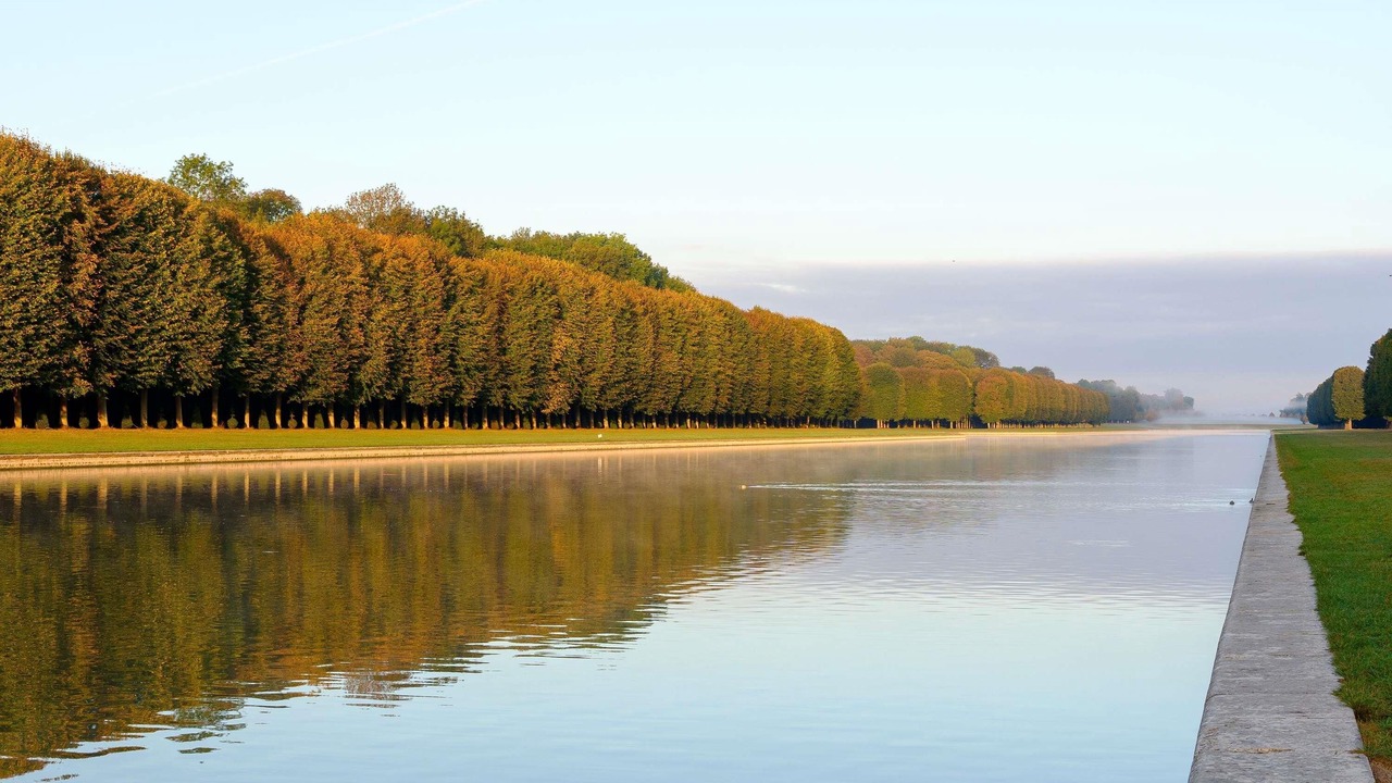 Photo of Others in Notre-Dame