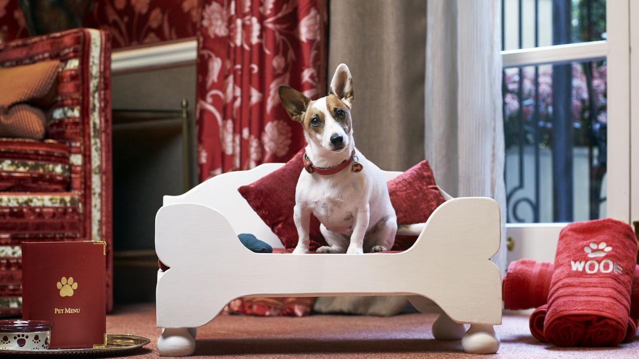 Photo of Others in Brompton & Hans Town