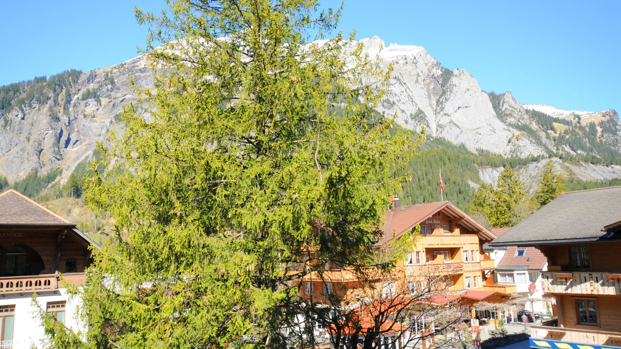 Photo of Bedroom in Kandersteg