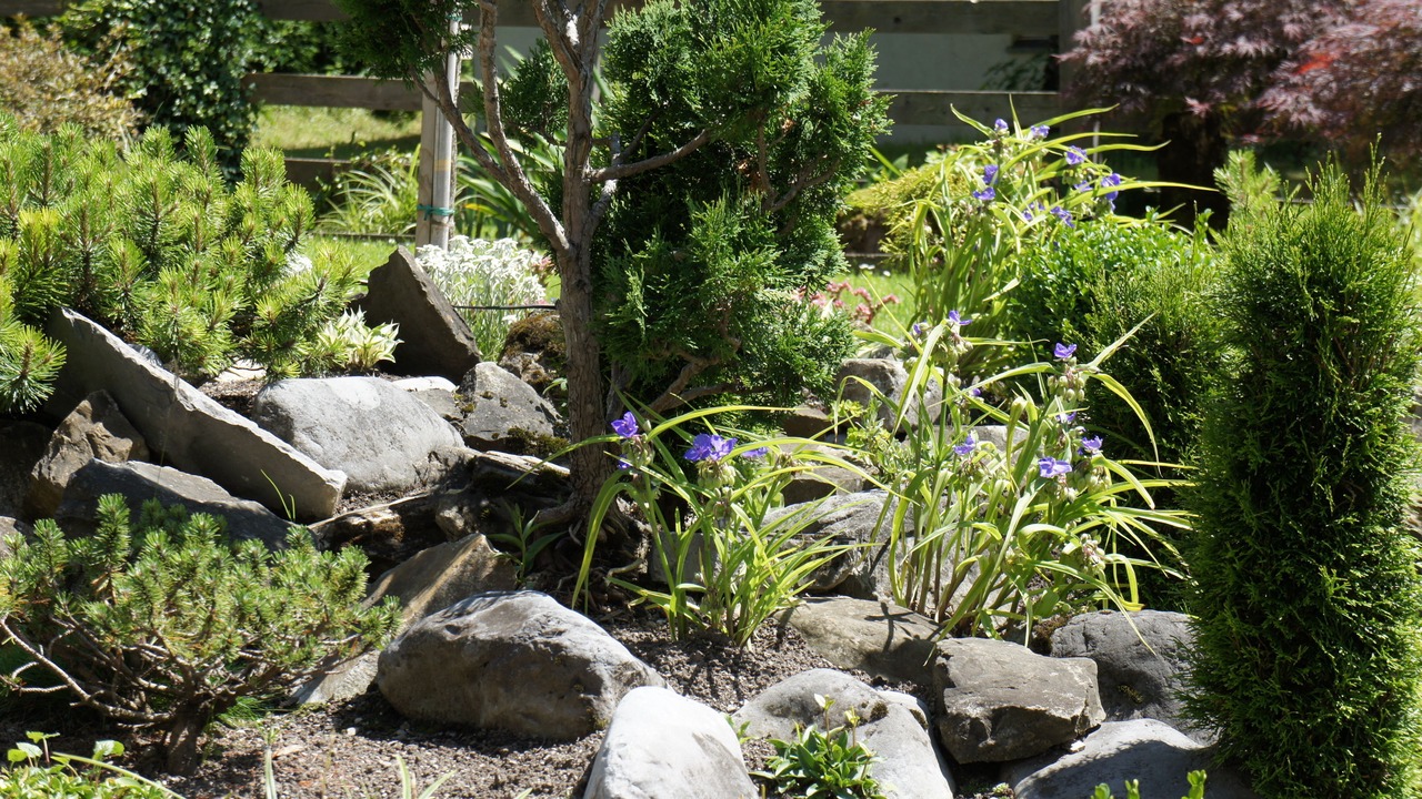 Photo of Outdoor in Kandersteg