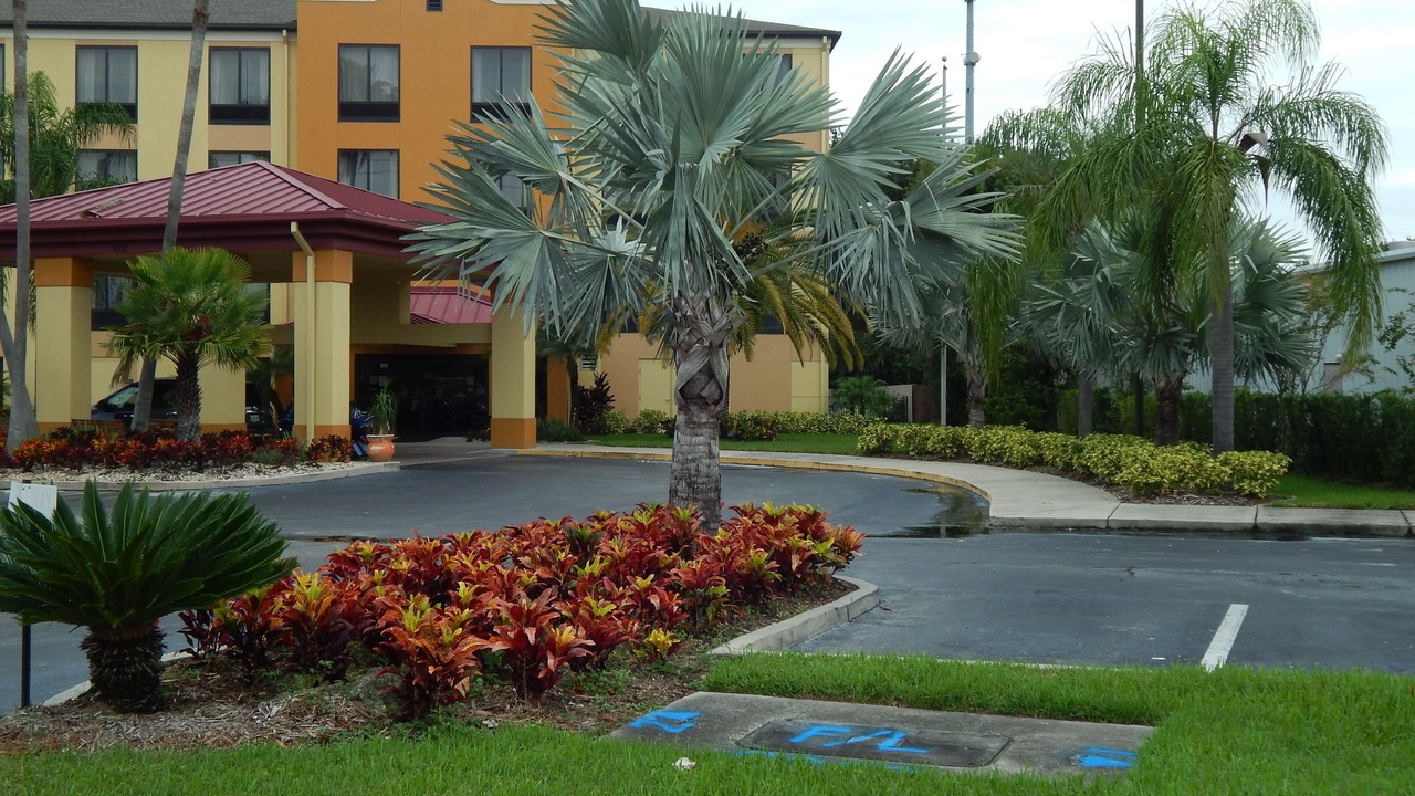 Photo of Outdoor in Tampa