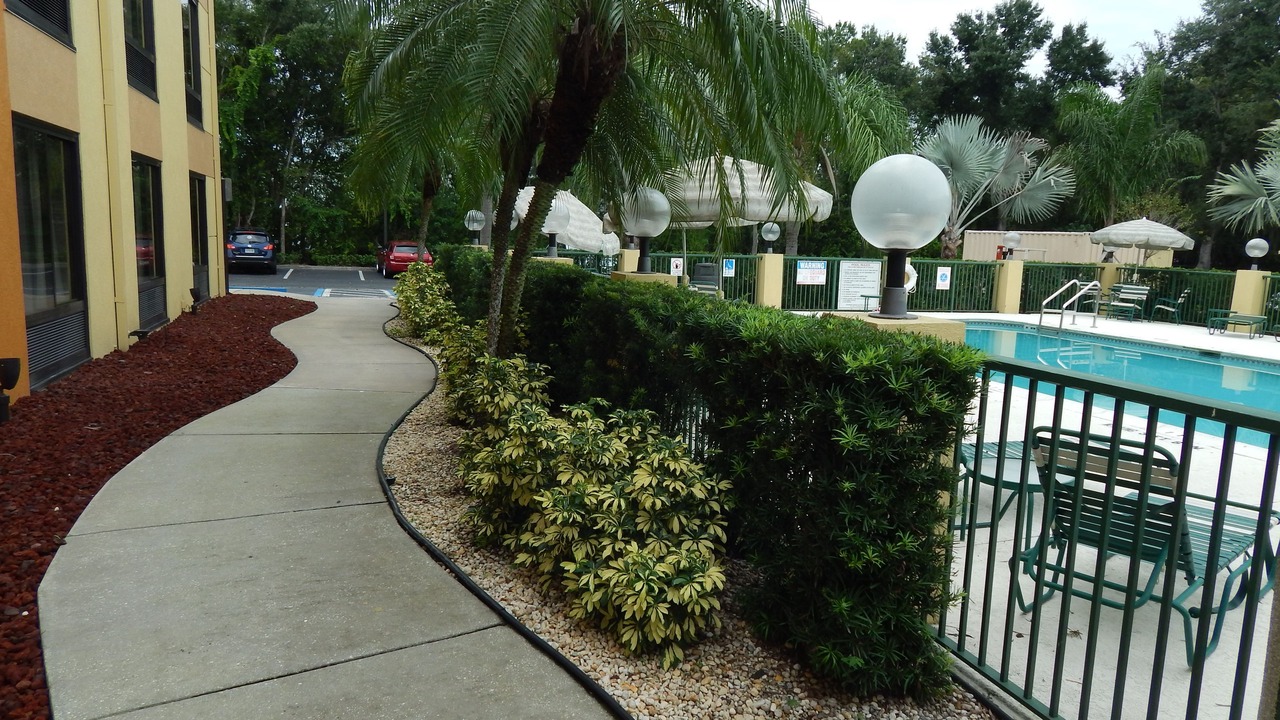 Photo of Outdoor in Tampa