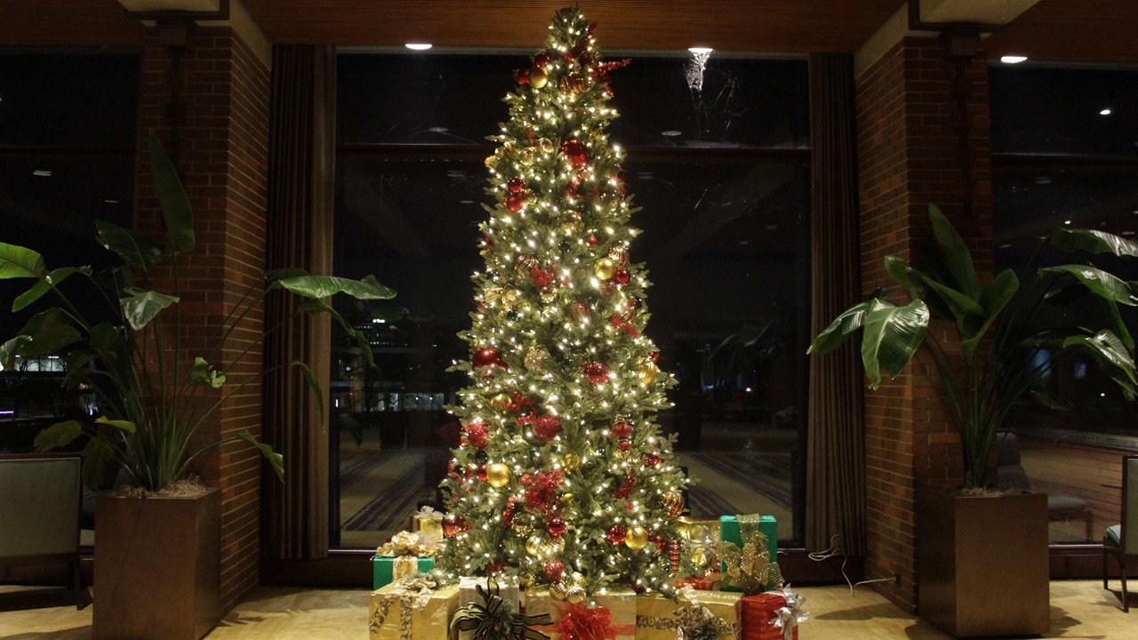 Photo of Others in Oak Brook