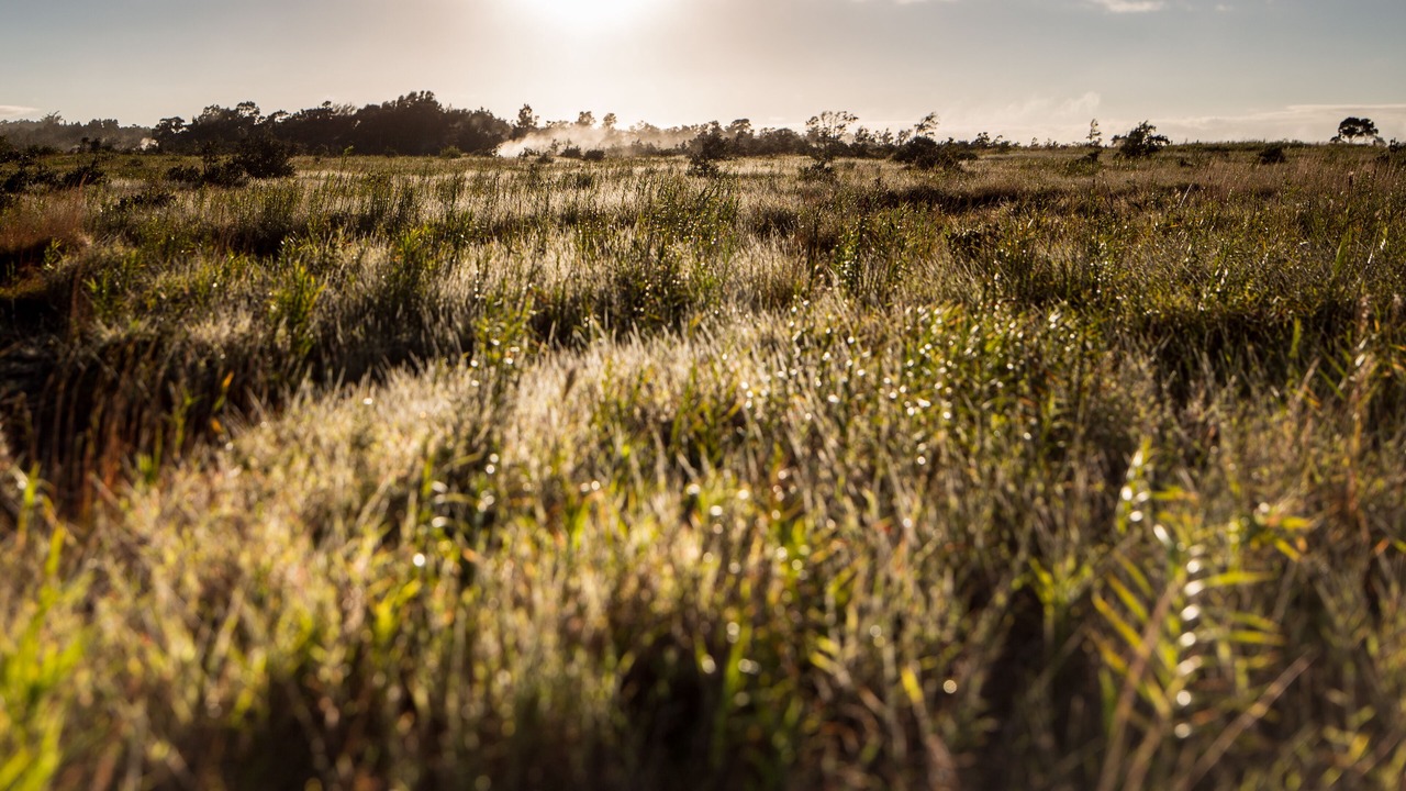 Photo of Outdoor in Volcano