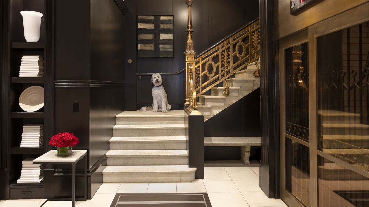 Photo of Others in Beacon Hill