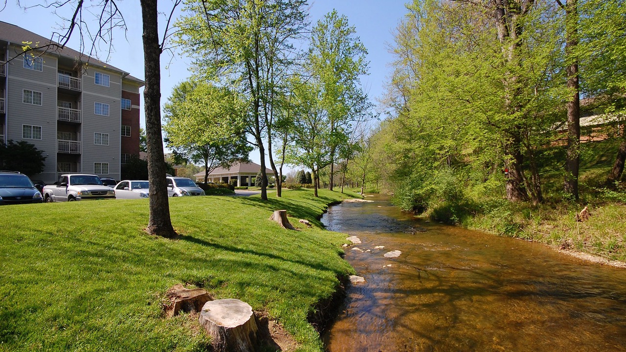 Photo of Outdoor in Pigeon Forge