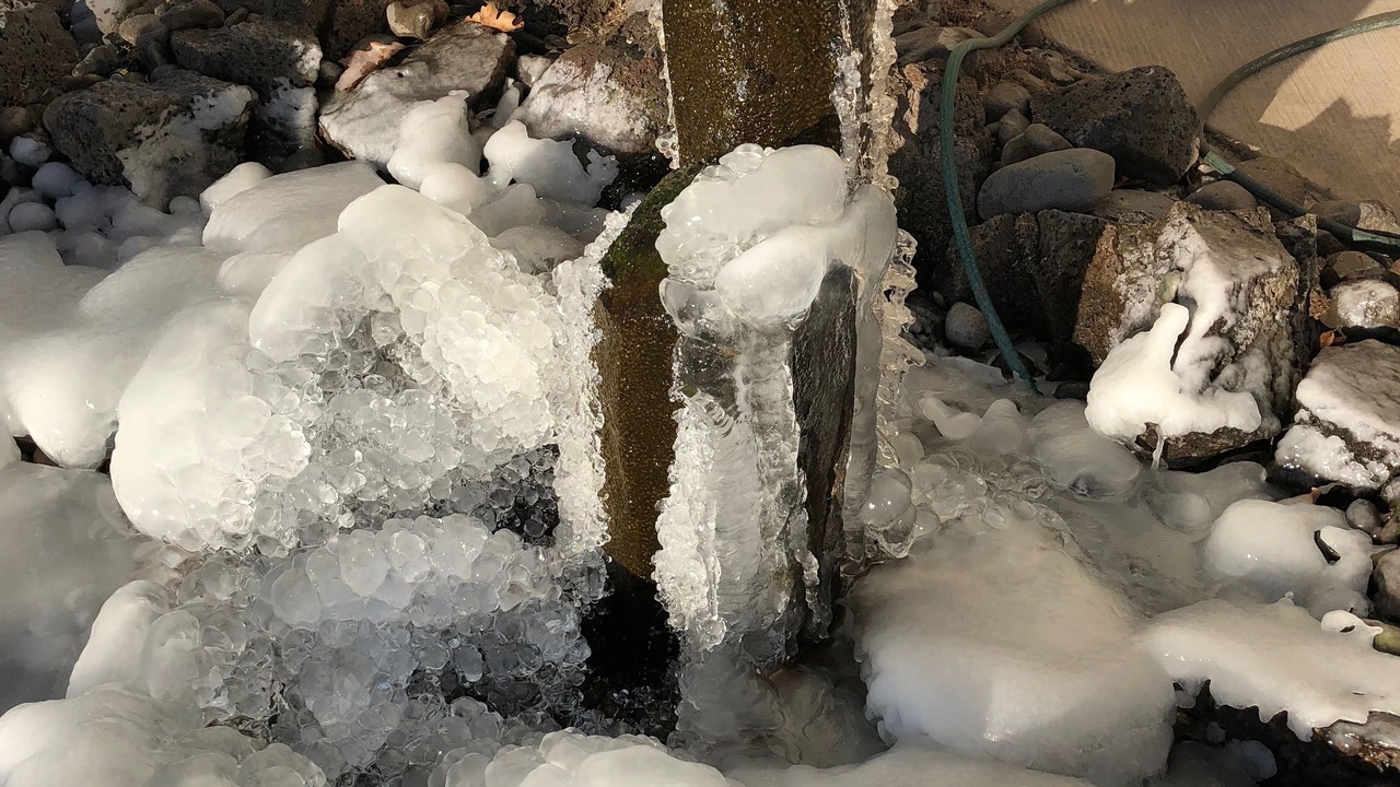 Photo of Outdoor in Boyd Acres
