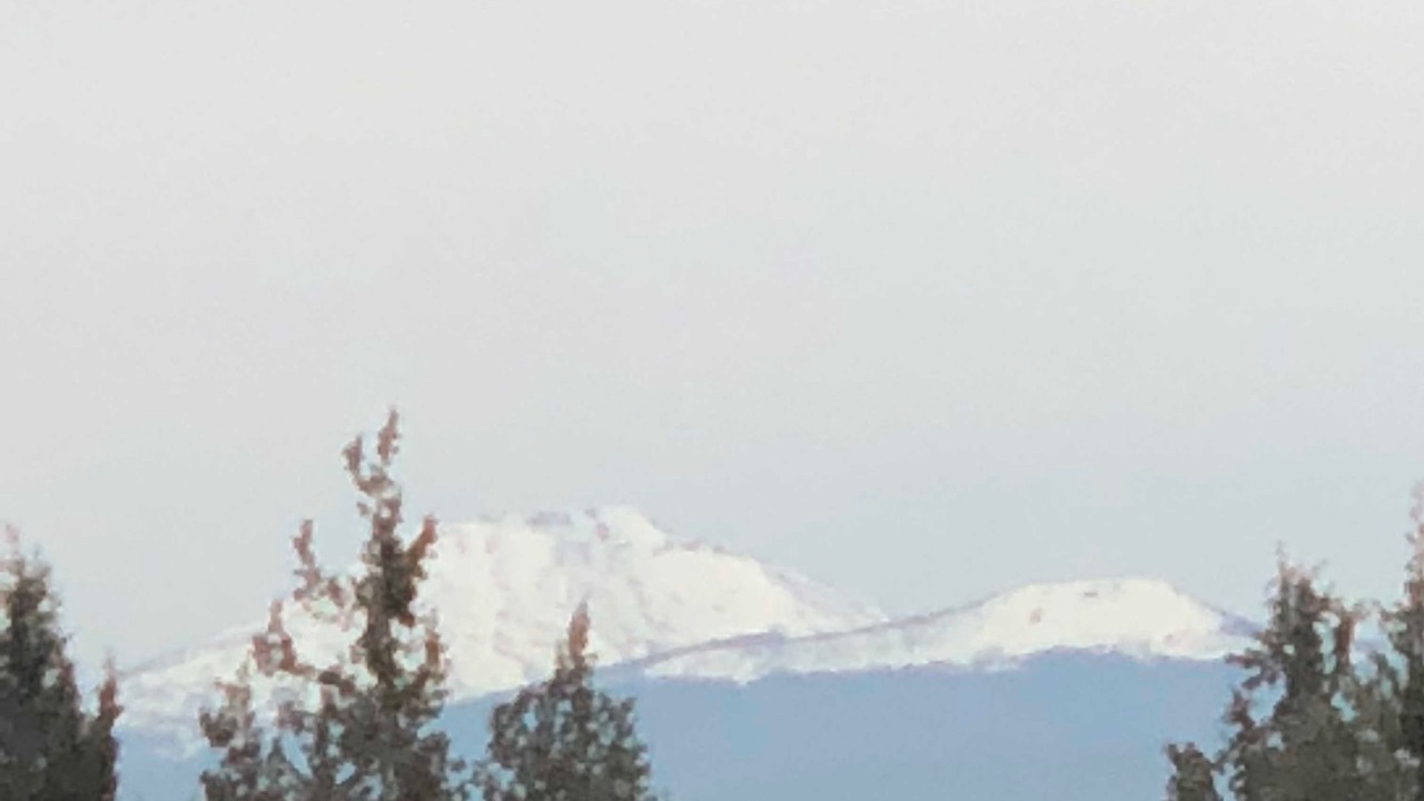 Photo of Others in Boyd Acres