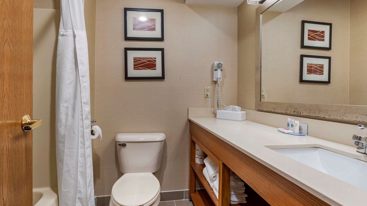 Photo of Bathroom in Napoleon