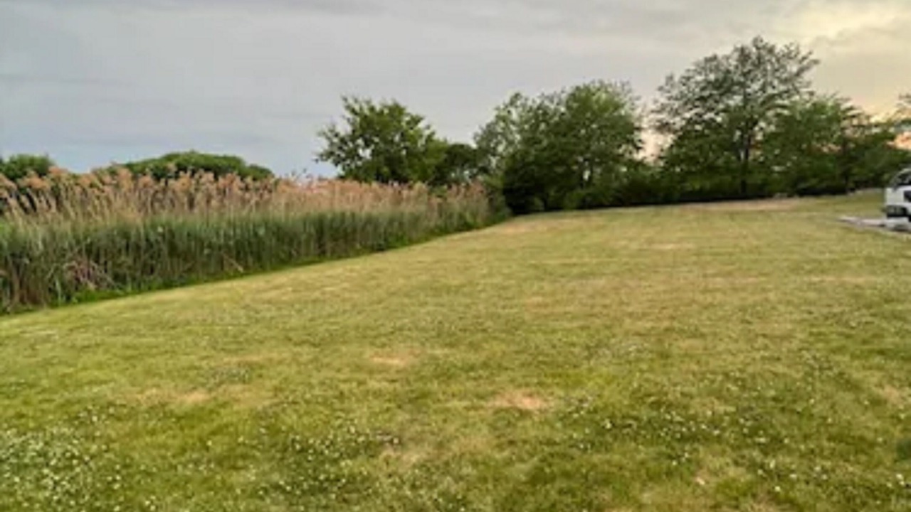 Photo of Outdoor in Lake Bluff