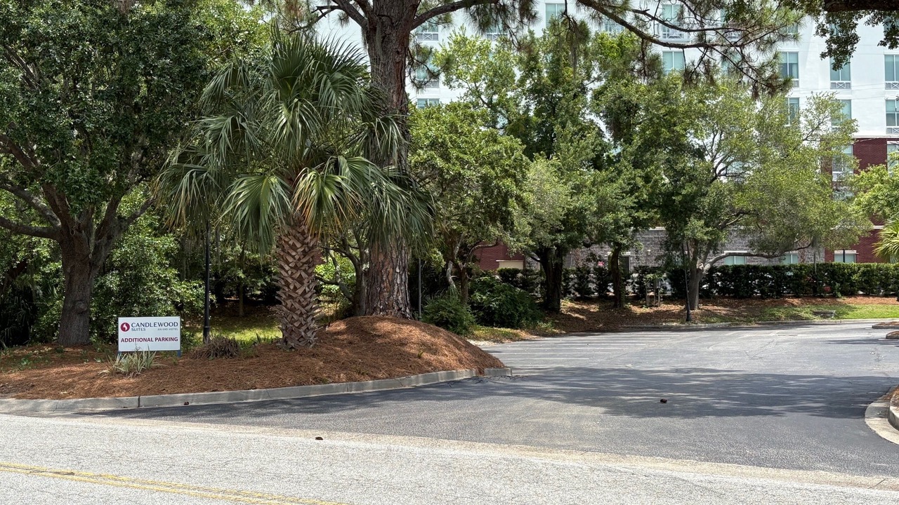 Photo of Others in Charleston