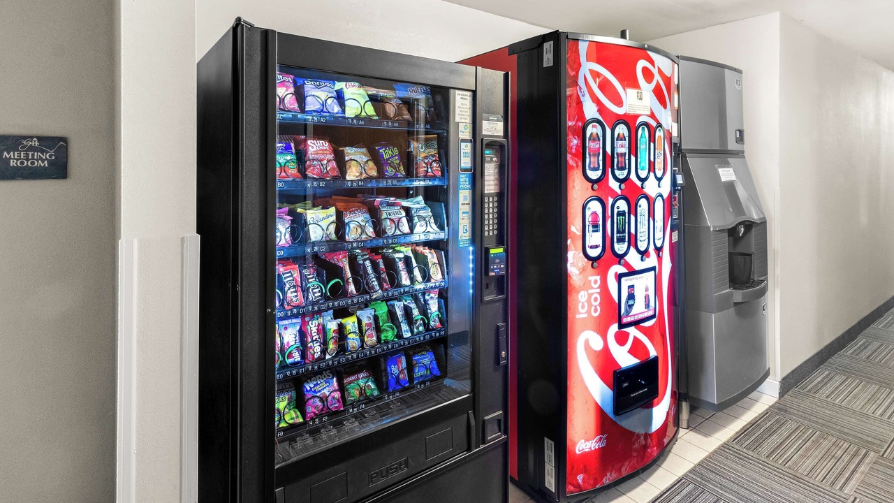 Photo of Others in Kelso