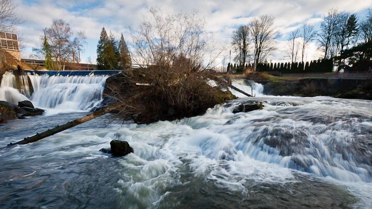 Photo of Others in Tumwater