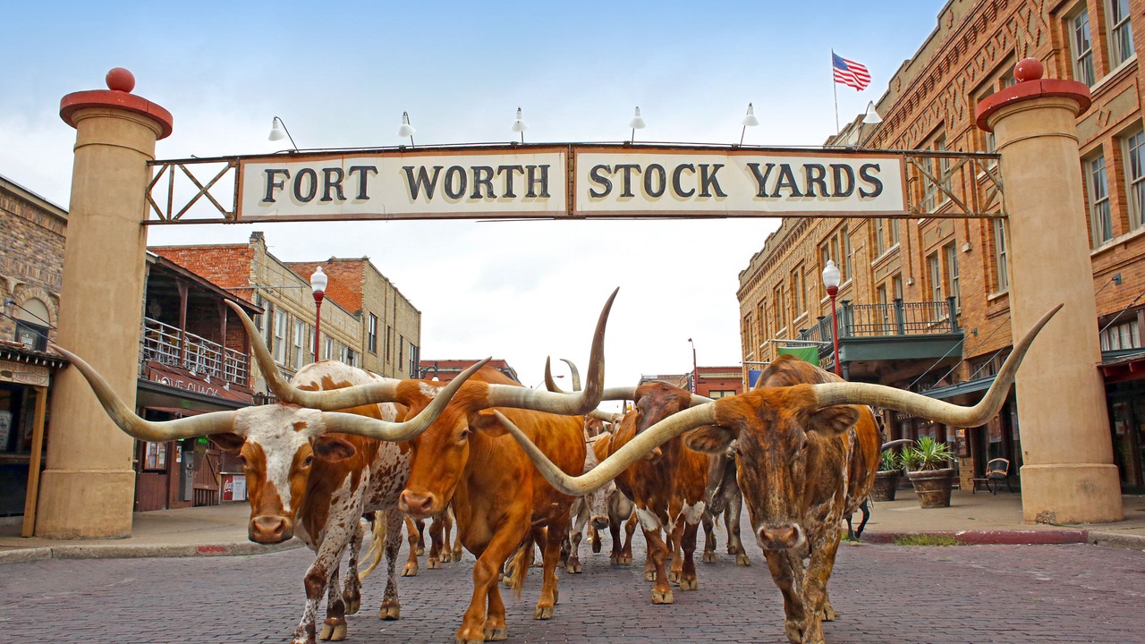 Photo of Others in Fort Worth