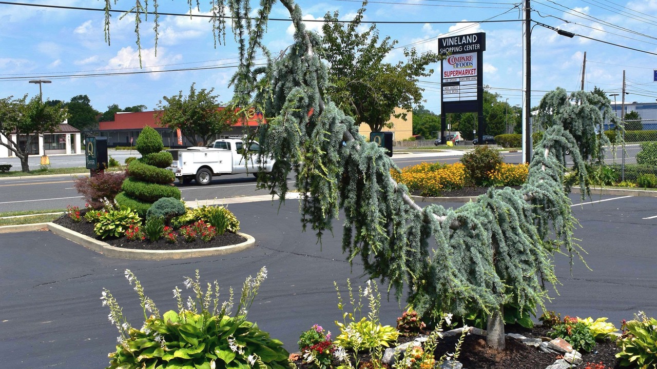 Photo of Outdoor in Vineland