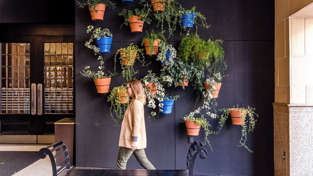 Photo of Outdoor in Downtown Portland