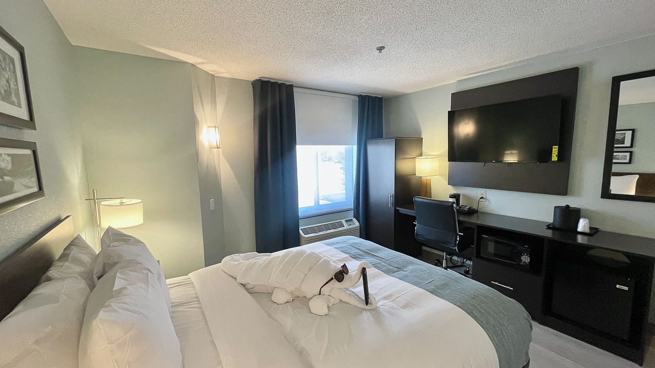 Photo of Others in Salisbury