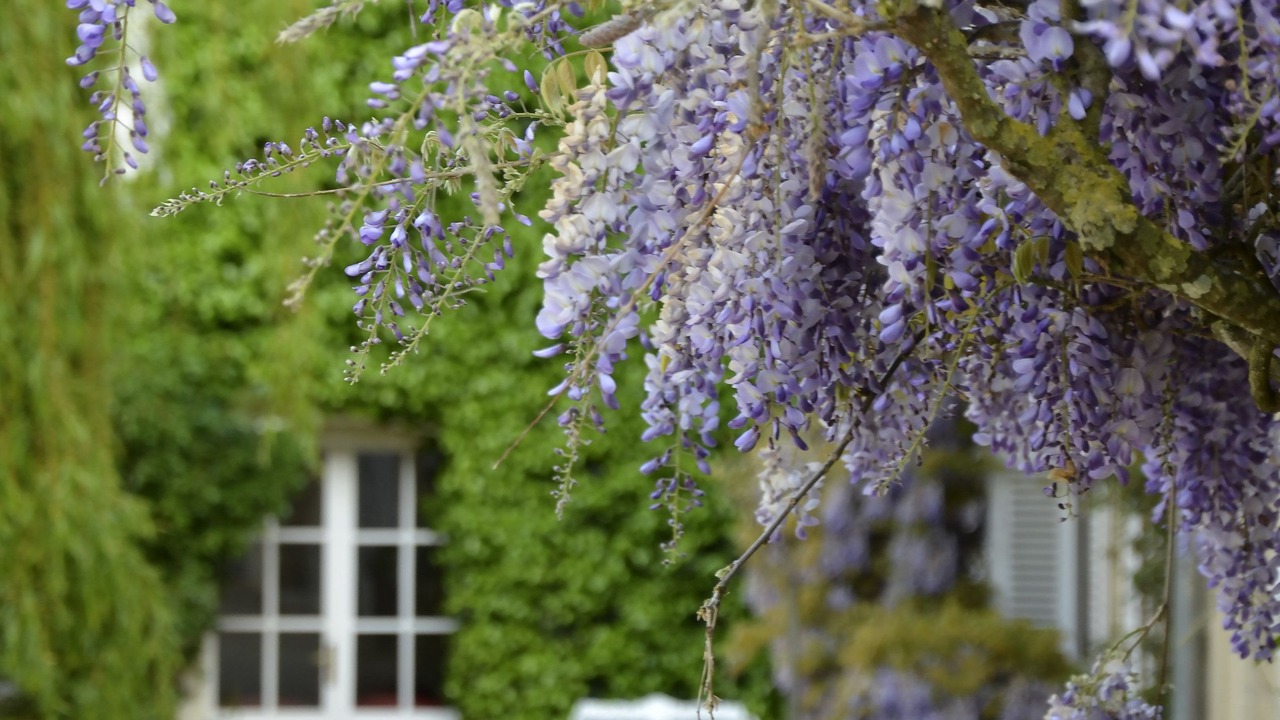 Photo of Outdoor in Commes