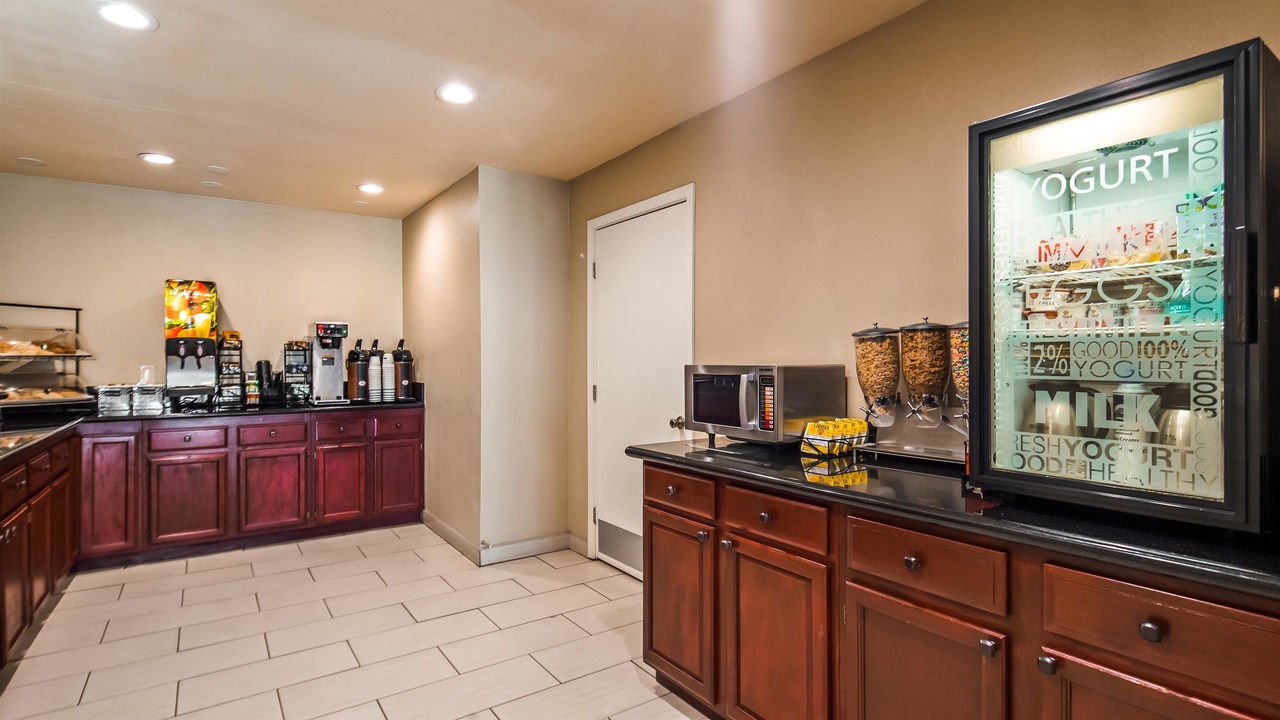 Photo of Others in Nut Tree