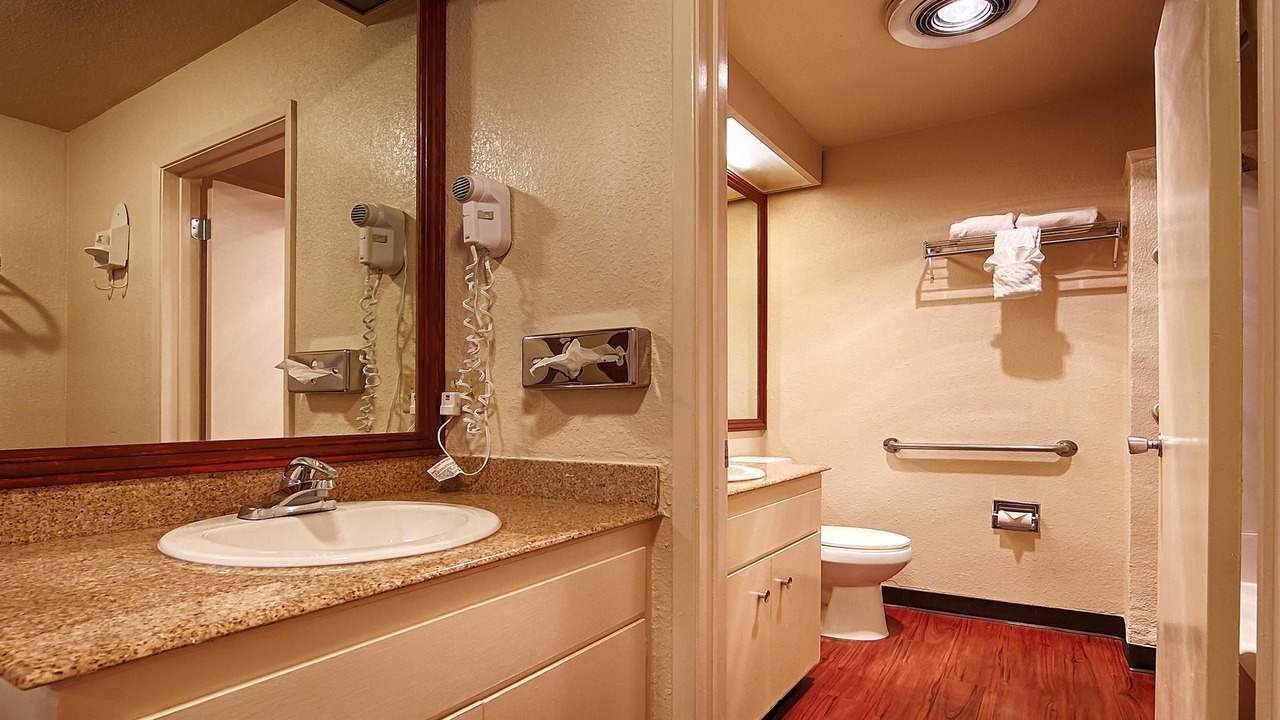 Photo of Others in Nut Tree