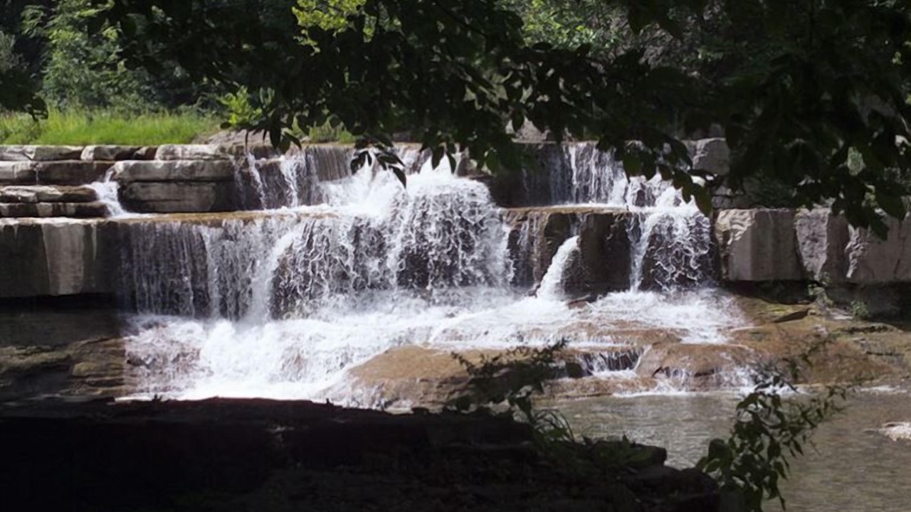 Photo of Others in Cornell Botanic Gardens