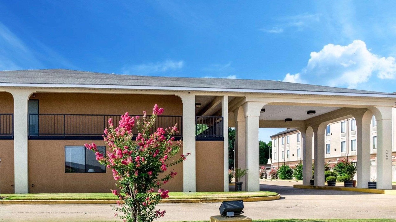 Photo of Outdoor in Greenville
