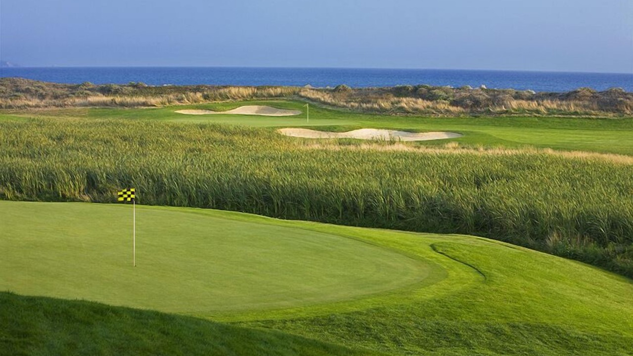 Photo of Others in Bodega Bay