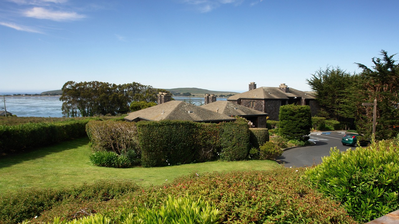 Photo of Others in Bodega Bay