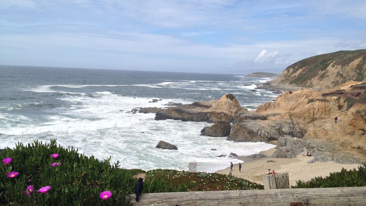 Photo of Others in Bodega Bay