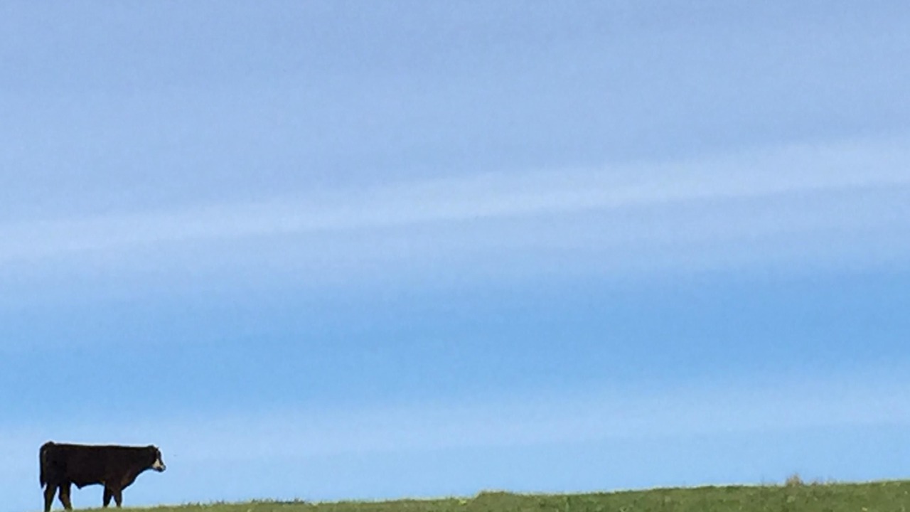 Photo of Outdoor in Bodega Bay