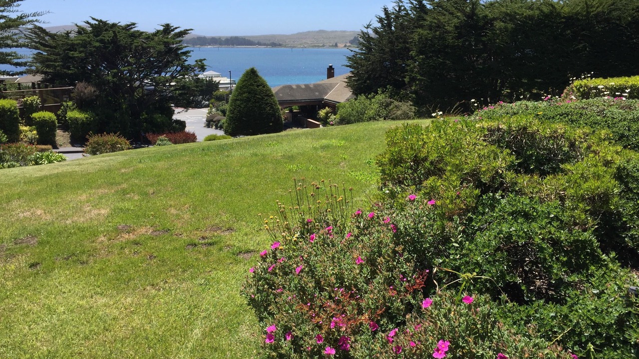 Photo of Others in Bodega Bay