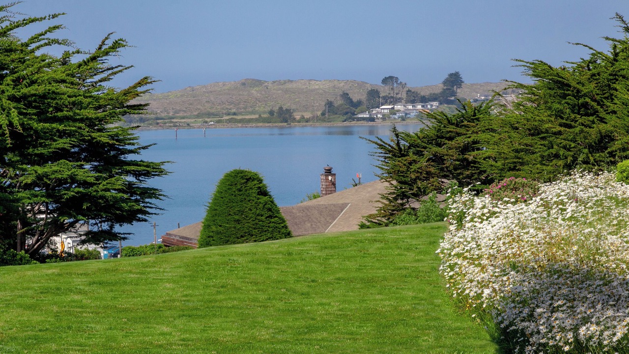 Photo of Outdoor in Bodega Bay