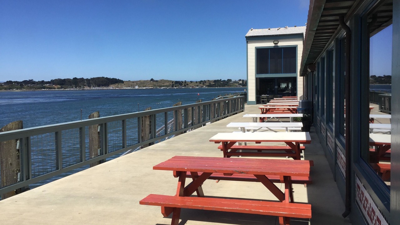 Photo of Others in Bodega Bay