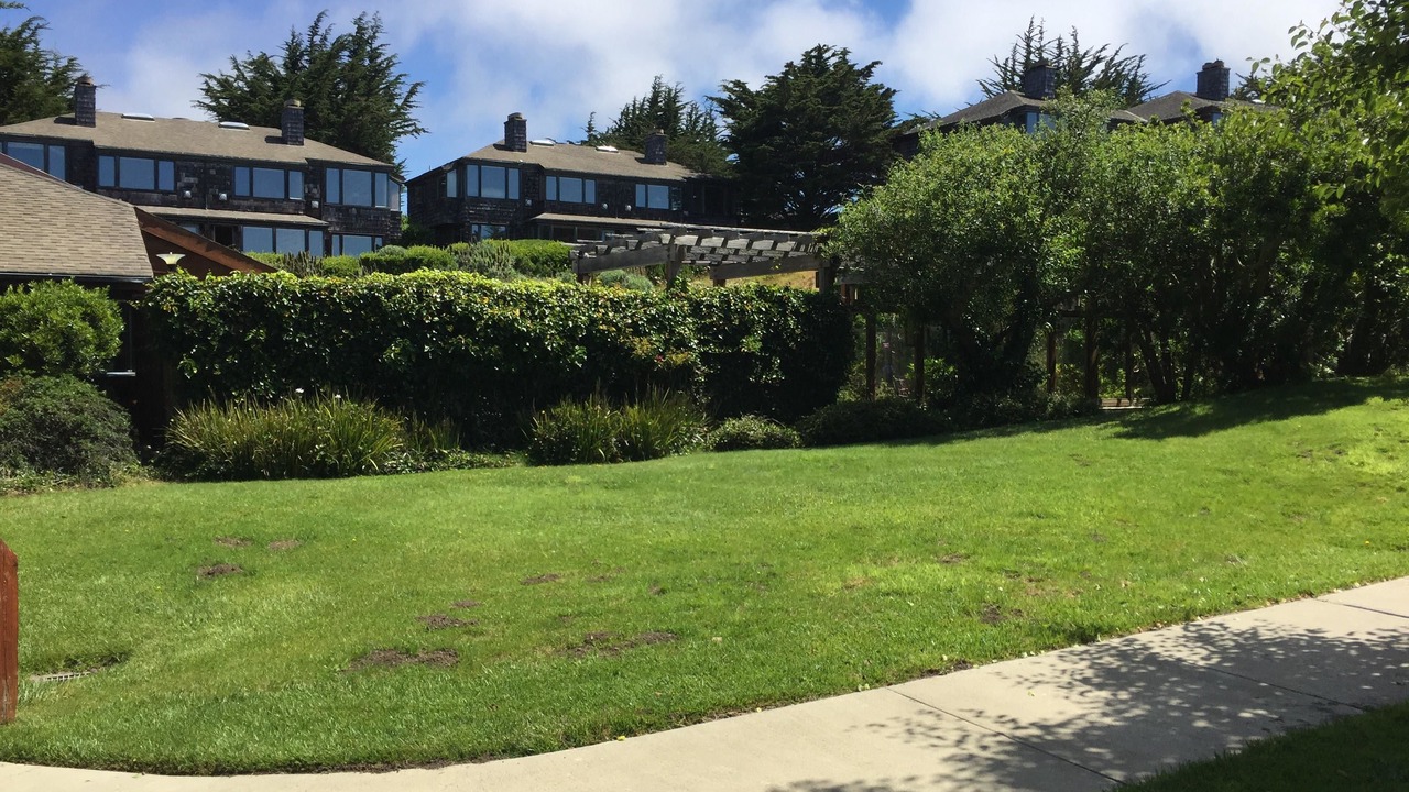 Photo of Others in Bodega Bay