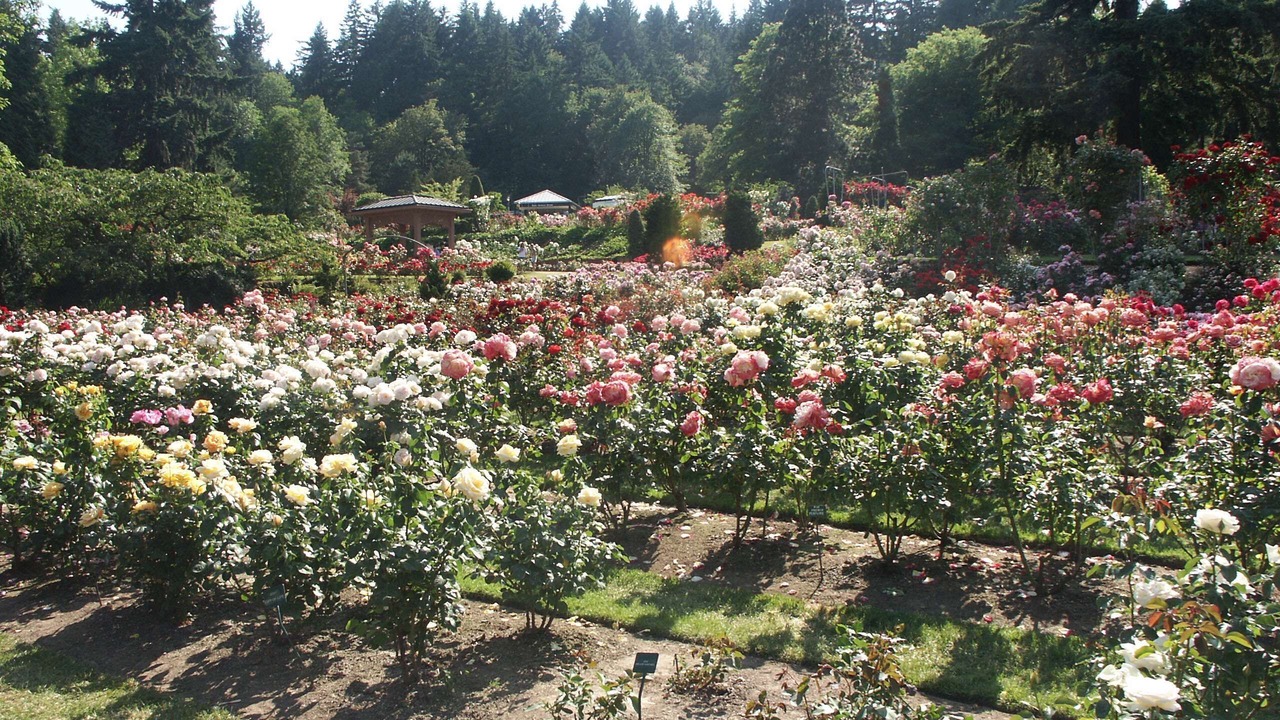 Photo of Others in Wilkes East