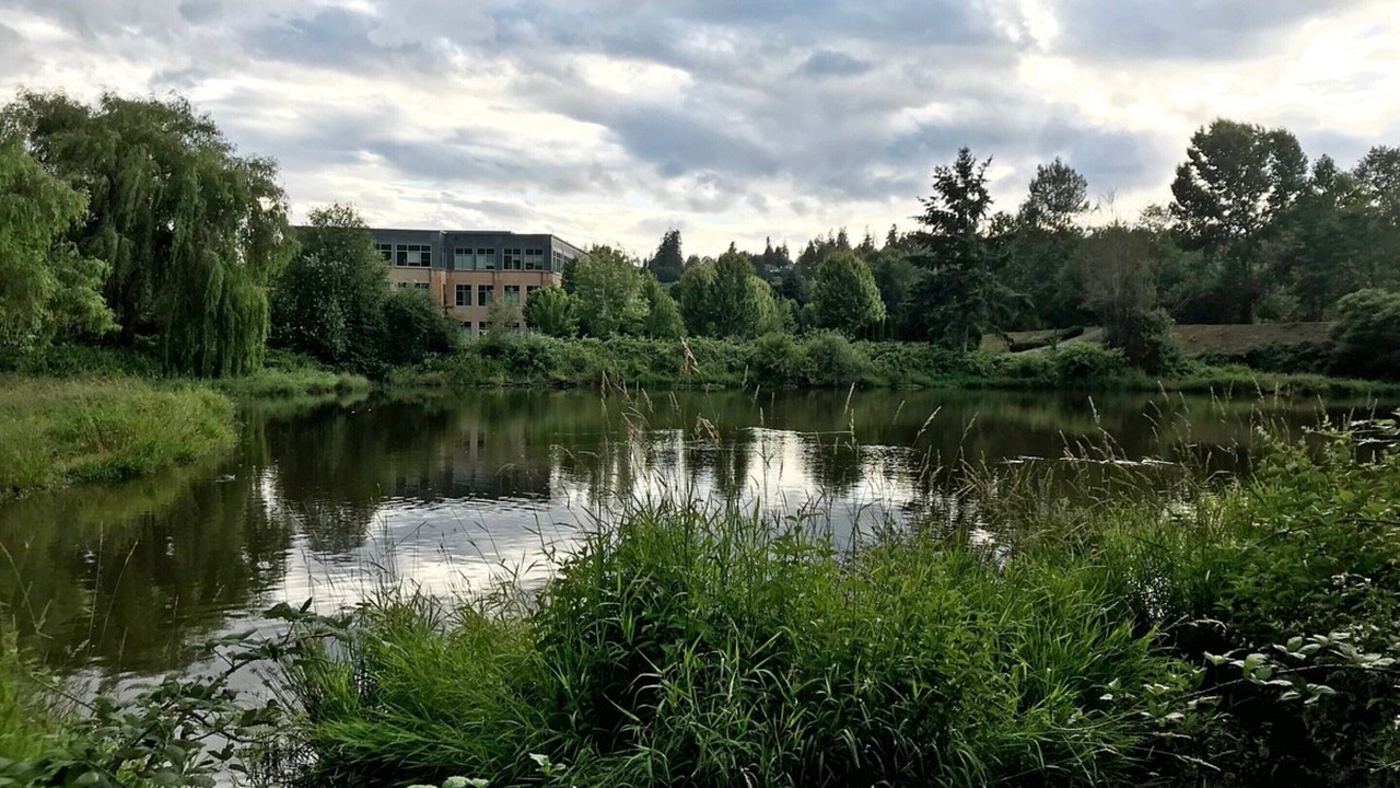 Photo of Outdoor in Bothell