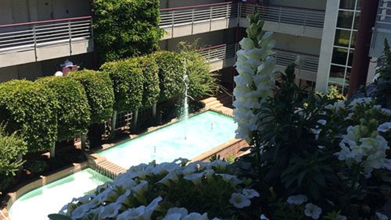 Photo of Others in Cupertino