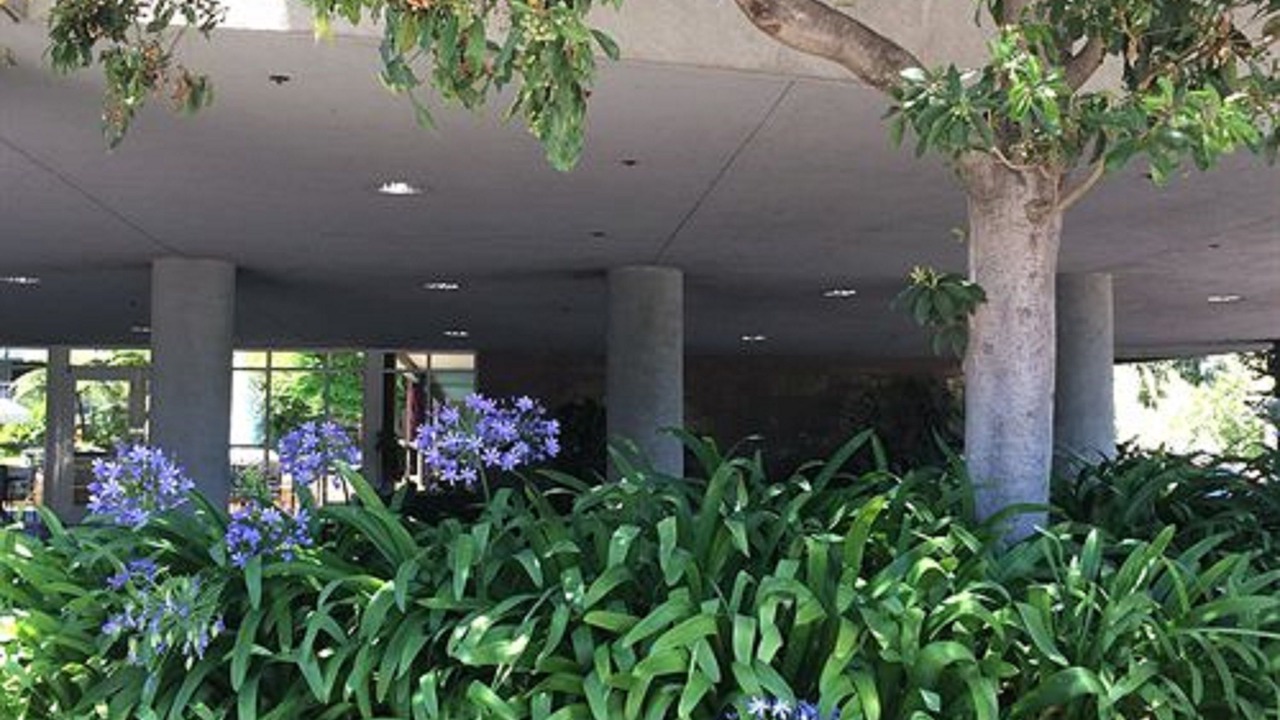 Photo of Outdoor in Cupertino