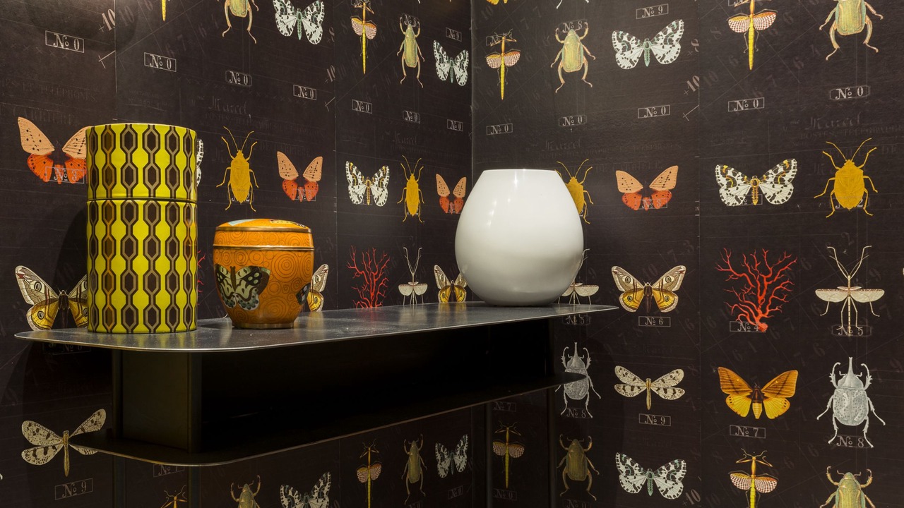 Photo of Others in Notre-Dame-des-Champs