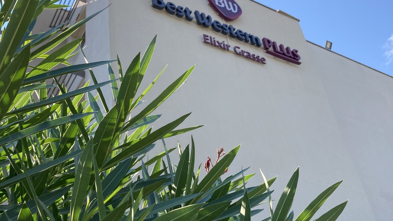 Photo of Outdoor in Grasse