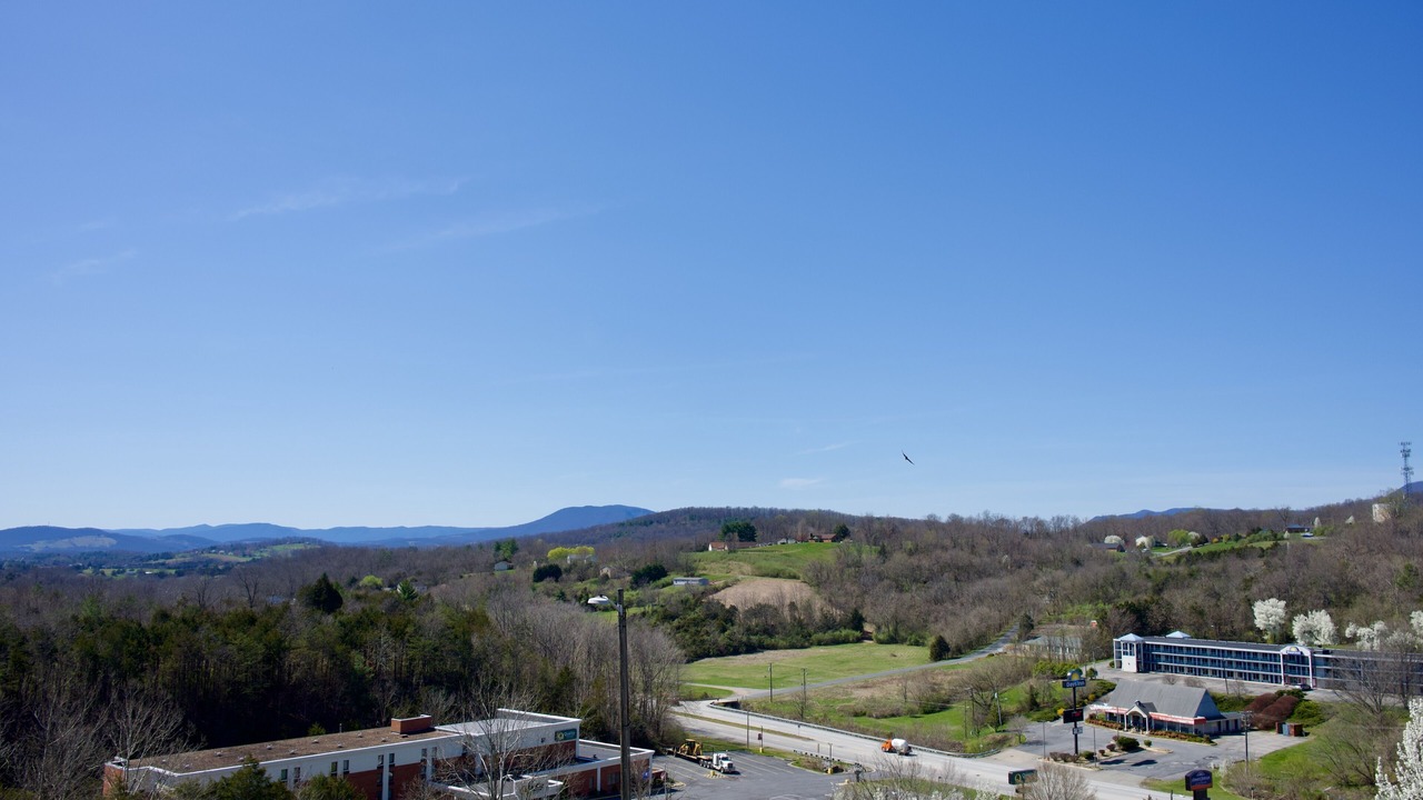 Photo of Outdoor in Lexington