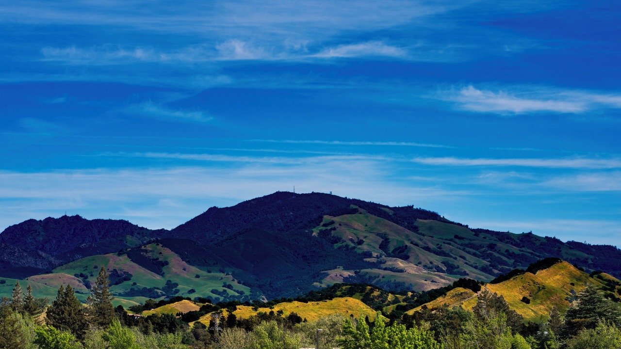 Photo of Others in Walnut Creek