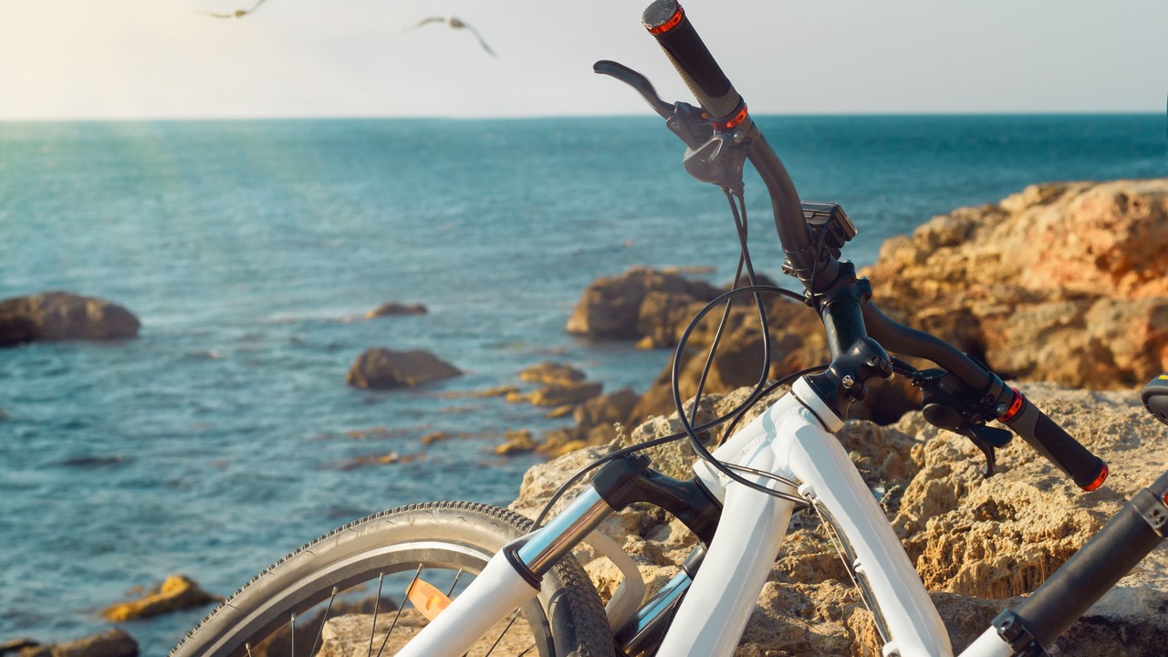 Photo of Outdoor in Bodega Bay