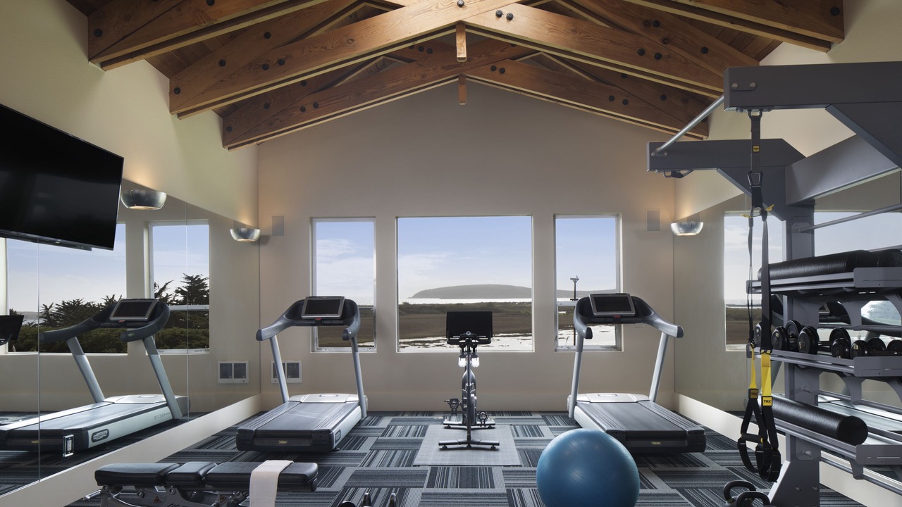 Photo of Others in Bodega Bay